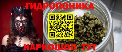 гашик Кимры