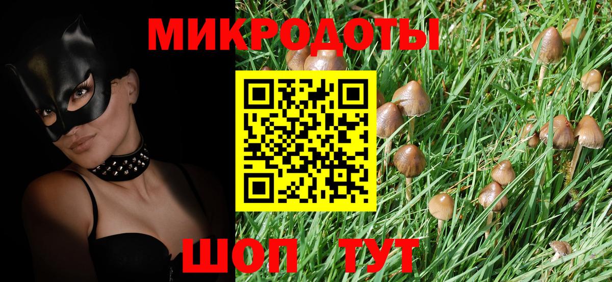 Псилоцибиновые грибы Magic Shrooms Тельмана