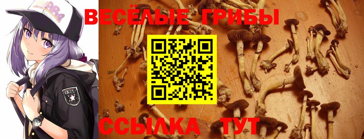 Галлюциногенные грибы мухоморы  Вход с VPN  Тельмана 
