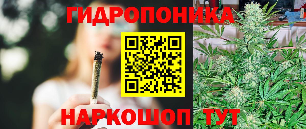 Канабис White Widow  Каннабис планчик  Вход с VPN  Бошки марихуана Ganja  Тельмана 